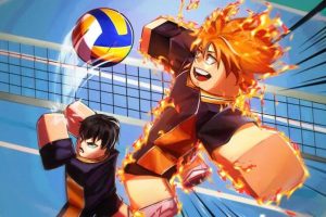 code volley ball legends