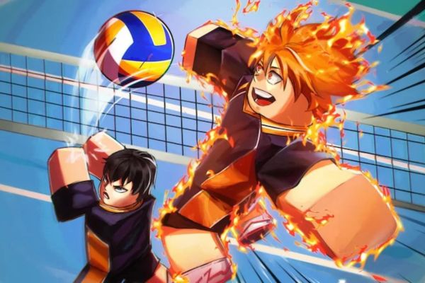 code volley ball legends