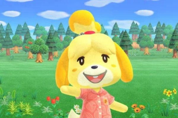 toile solennelle animal crossing​