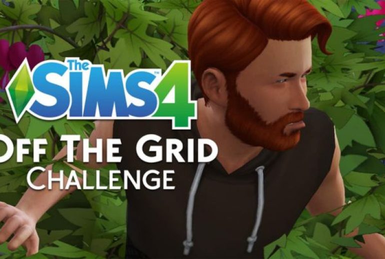 challenge sims 4​